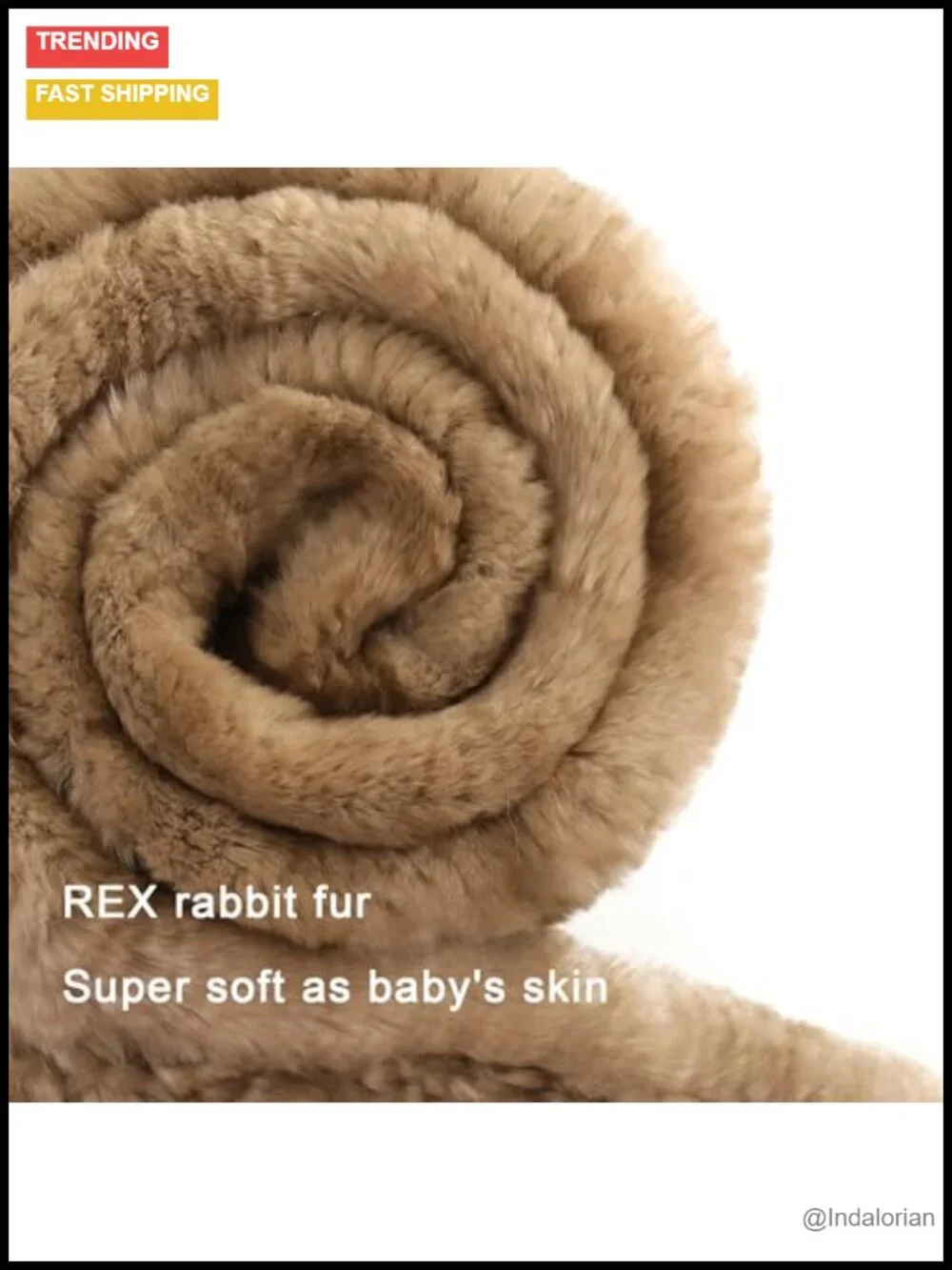N/A real rex